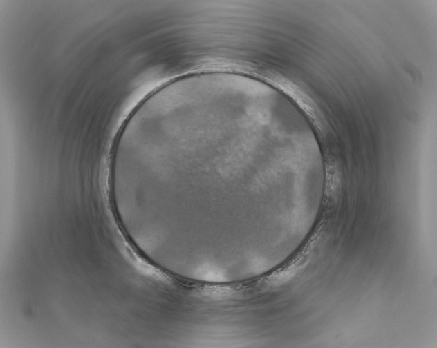 X0000110701094200907241120