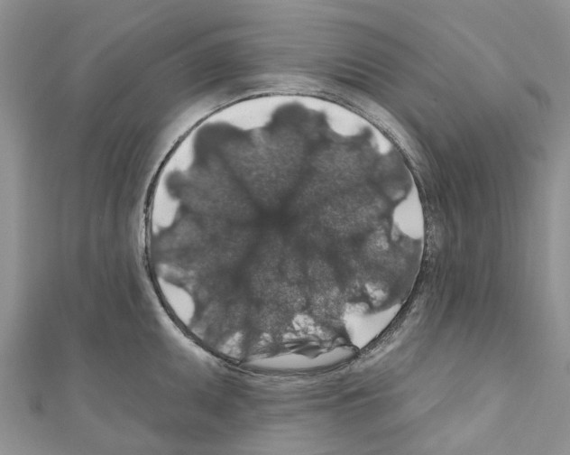 X0000110701095200907241120