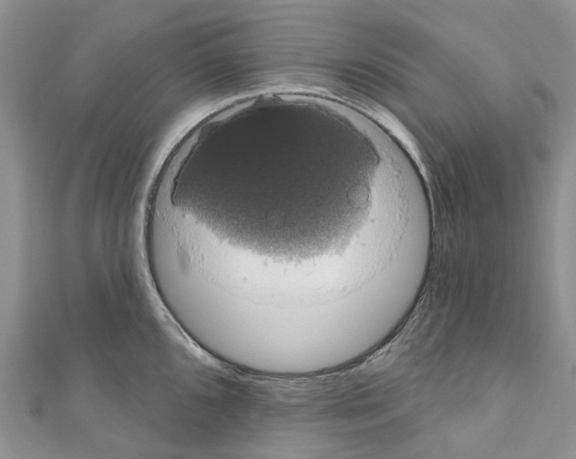 X0000110701096200907241120