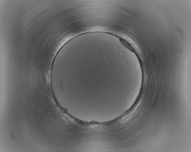X0000110701097200907241120