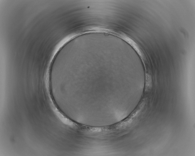 X0000110701098200907241120