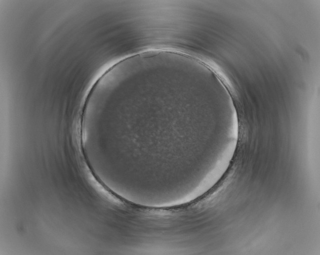 X0000110701100200907241120