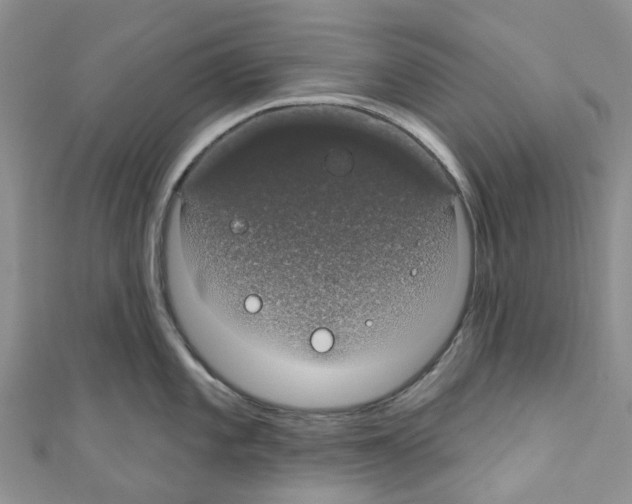 X0000110701101200907241120