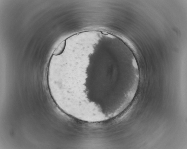 X0000110701102200907241120