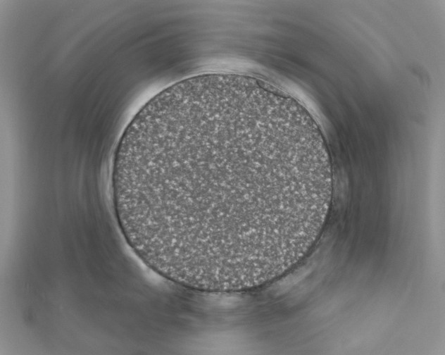 X0000110701103200907241120