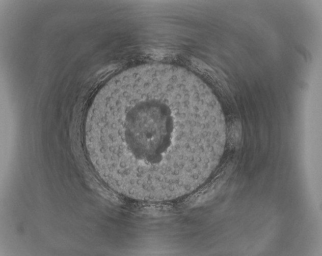 X0000110701105200907241119