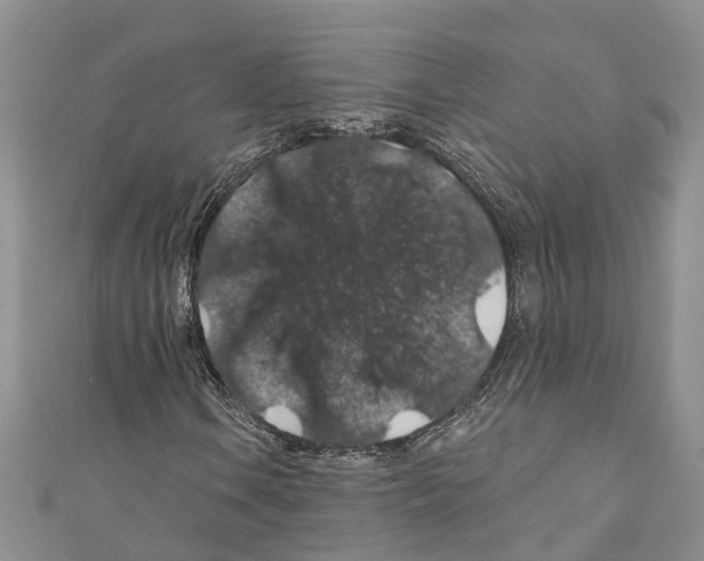 X0000110701106200907241119