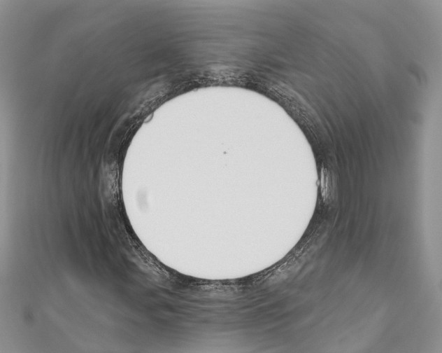 X0000110701107200907241119