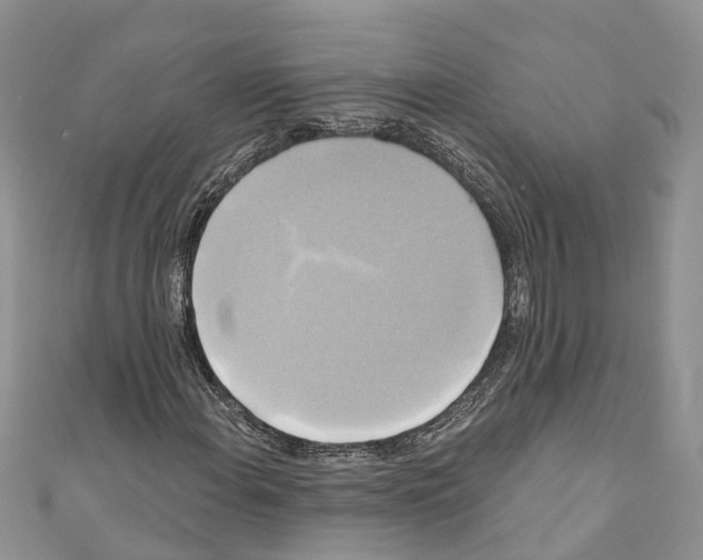 X0000110701108200907241119