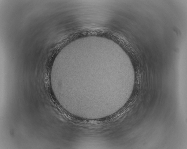 X0000110701109200907241119