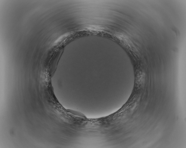 X0000110701110200907241119