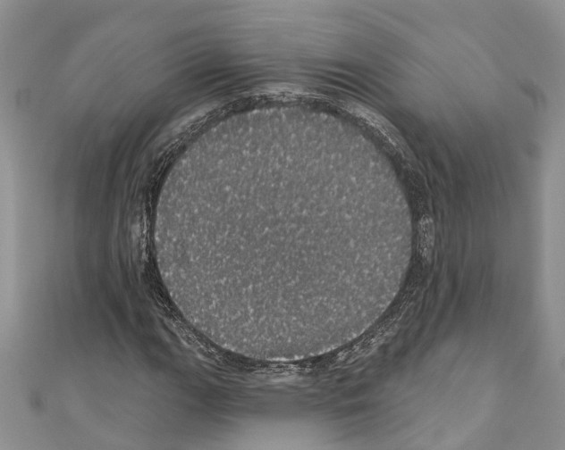 X0000110701111200907241119