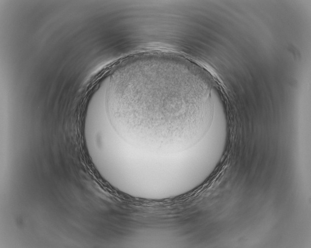 X0000110701112200907241119