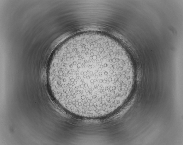 X0000110701113200907241119