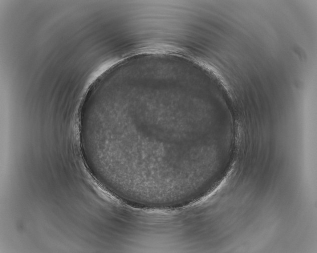 X0000110701114200907241119