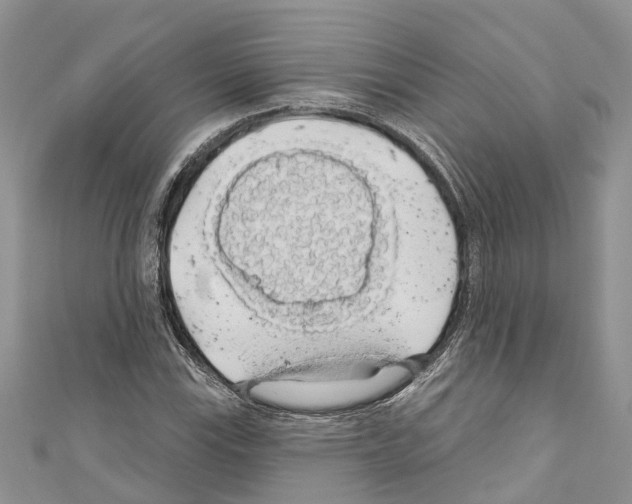 X0000110701115200907241119