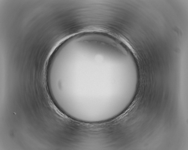 X0000110701116200907241119