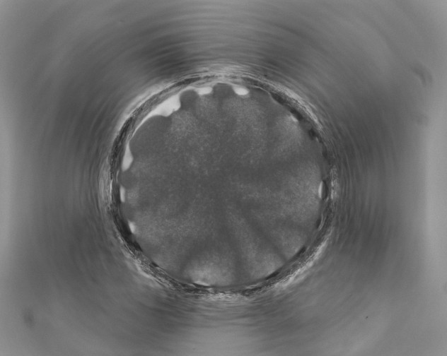 X0000110701117200907241119