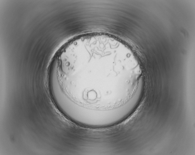 X0000110701118200907241119