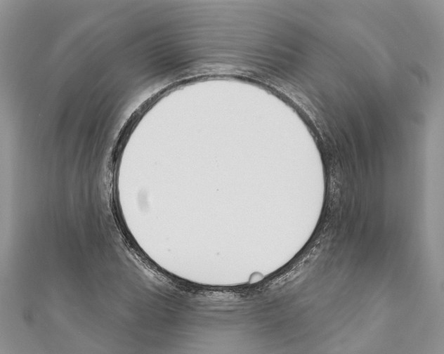 X0000110701119200907241119
