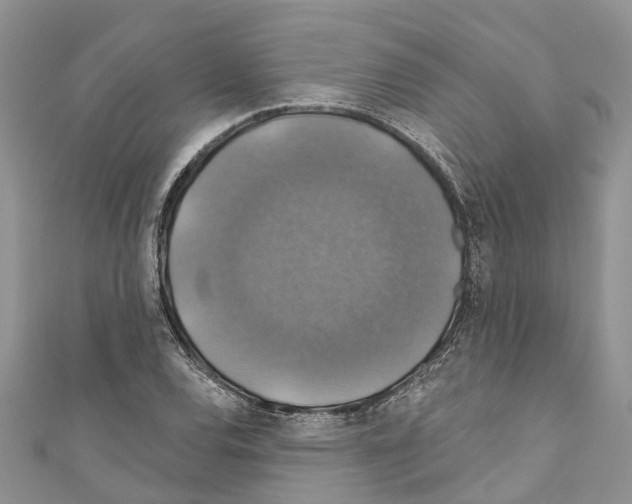 X0000110701120200907241119