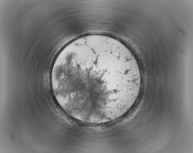 X0000110701121200907241119