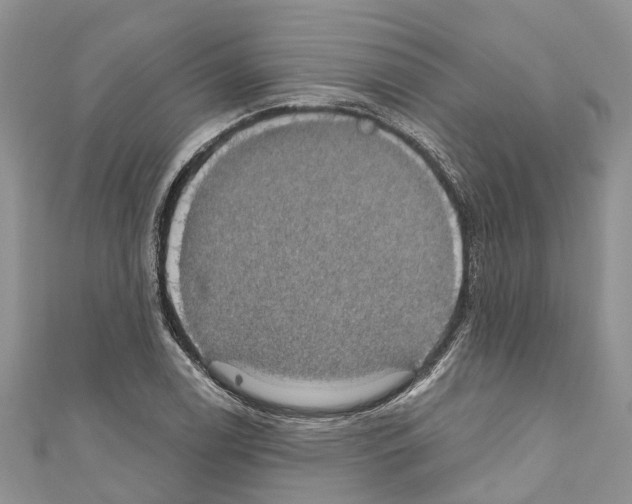 X0000110701122200907241119
