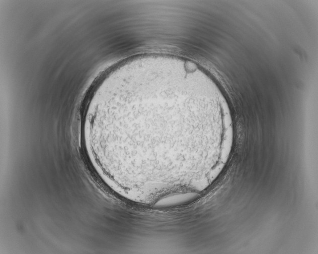 X0000110701123200907241119