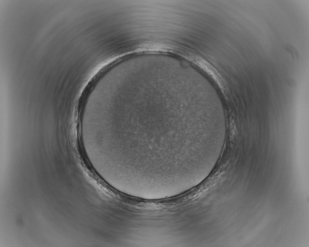 X0000110701124200907241119