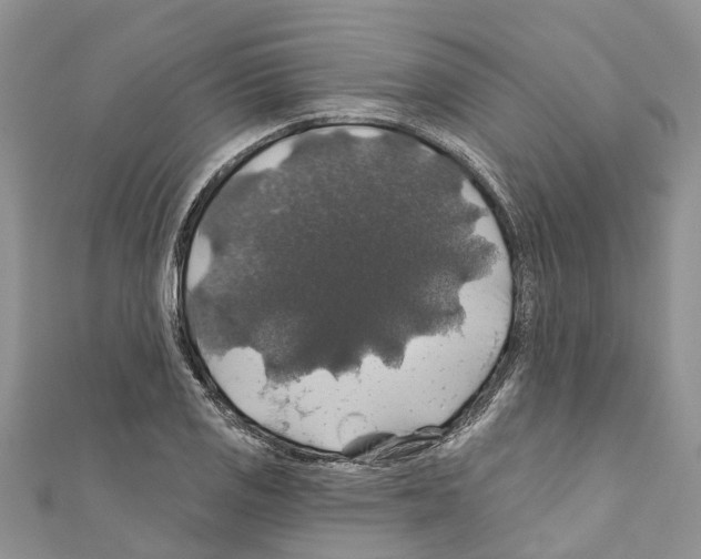 X0000110701125200907241119