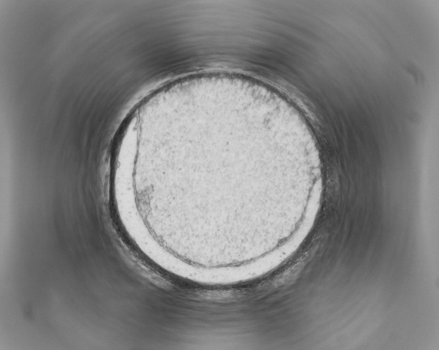 X0000110701126200907241119