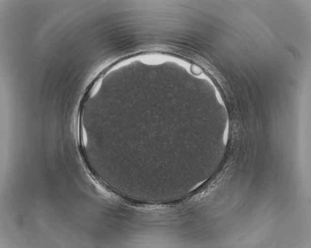 X0000110701127200907241119