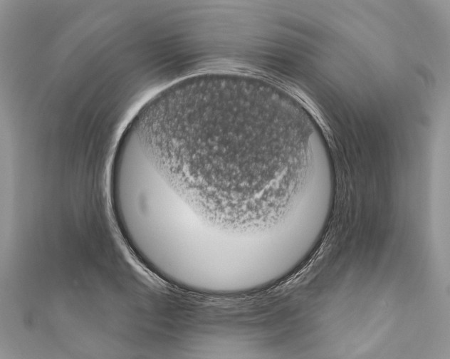 X0000110701128200907241119