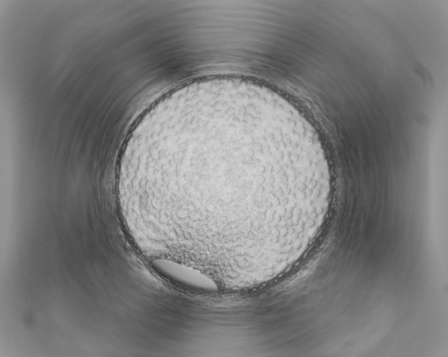 X0000110701129200907241119