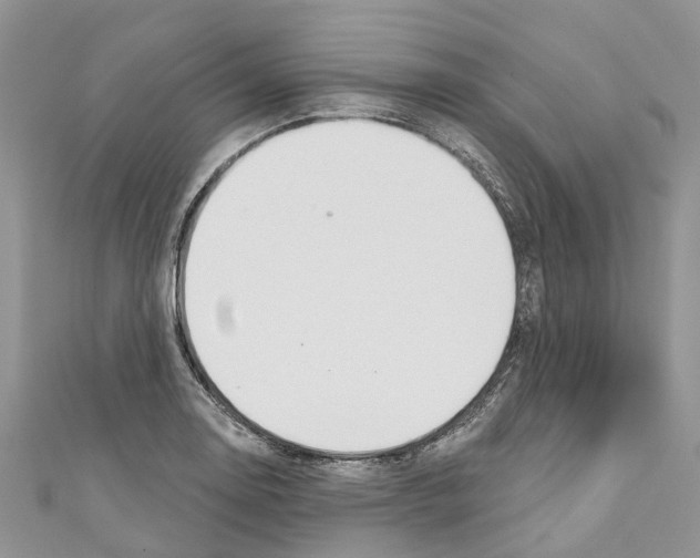 X0000110701130200907241119