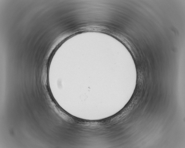 X0000110701131200907241119