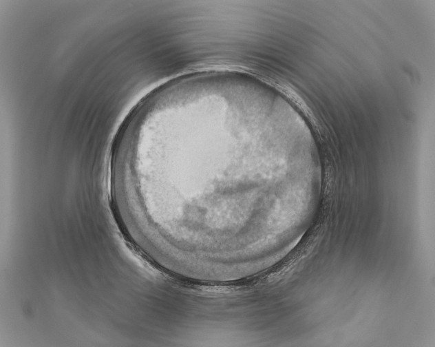 X0000110701132200907241119