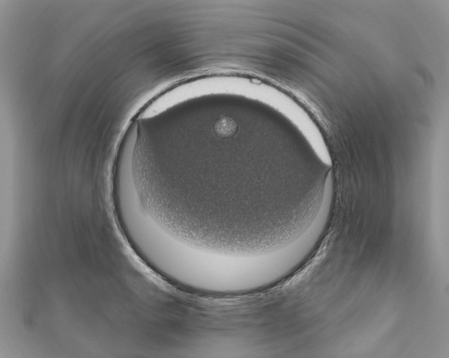 X0000110701134200907241119