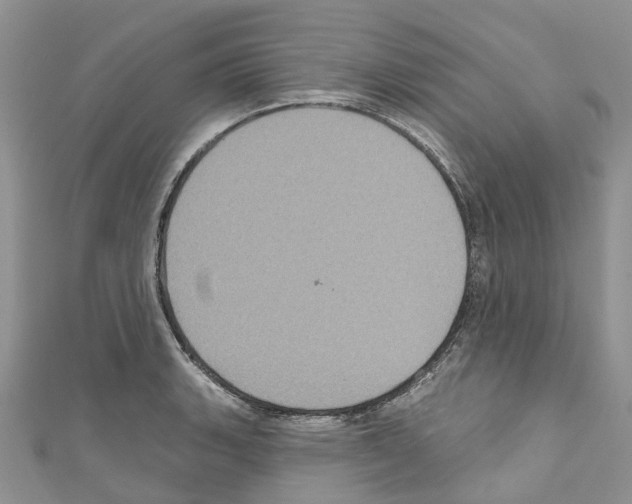 X0000110701135200907241119