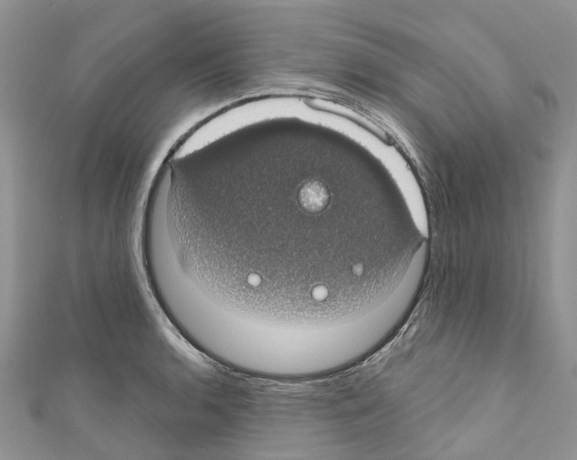 X0000110701136200907241119