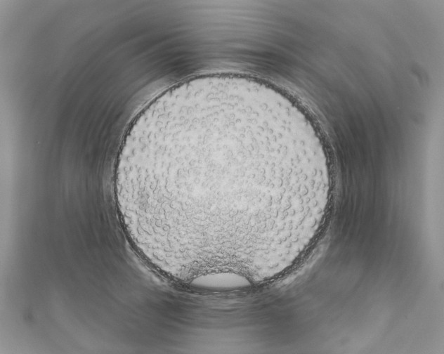X0000110701137200907241119