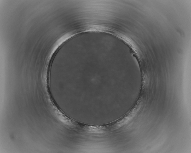 X0000110701138200907241119