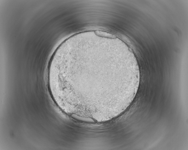 X0000110701140200907241119