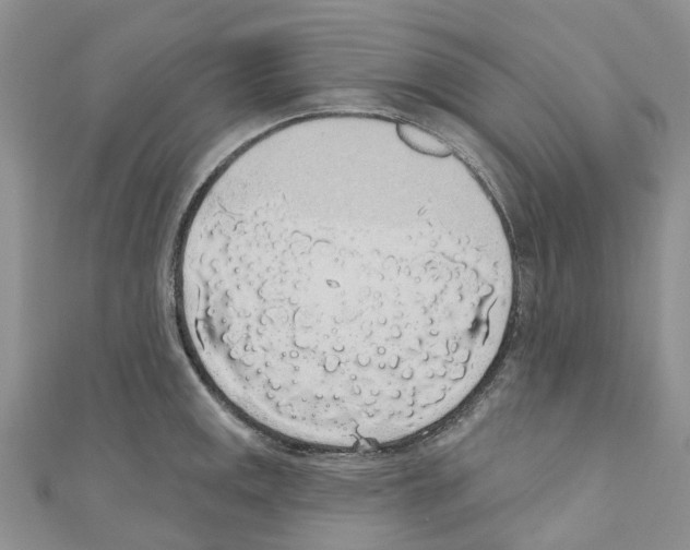 X0000110701141200907241119
