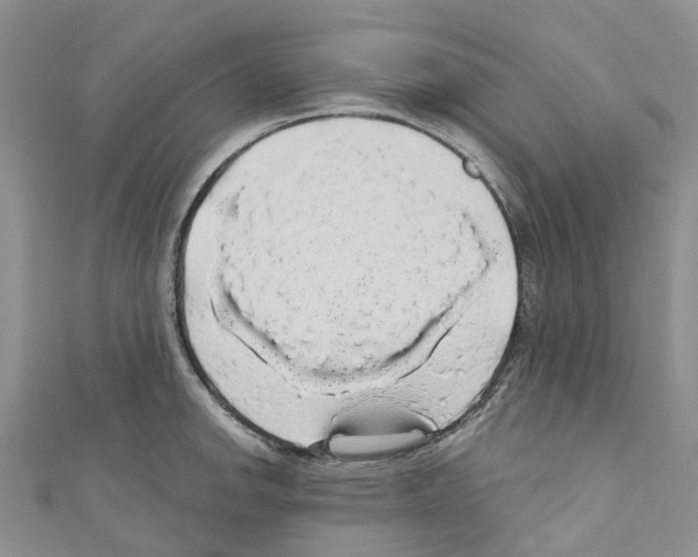 X0000110701142200907241119
