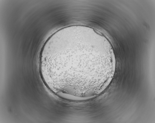X0000110701143200907241119