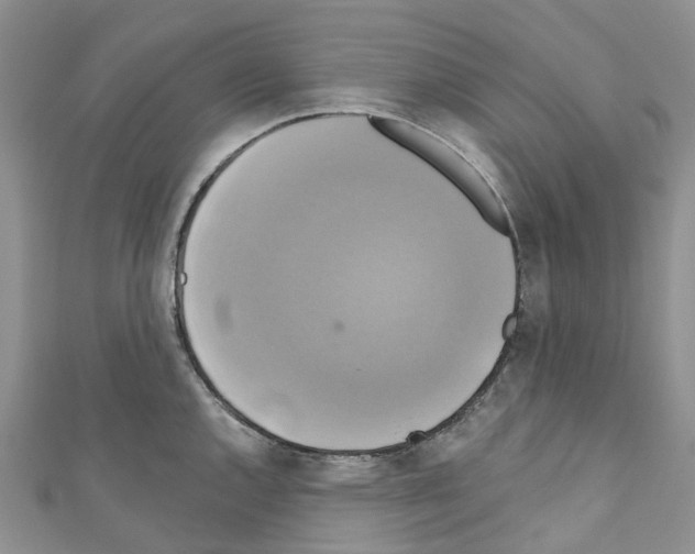 X0000110701144200907241119