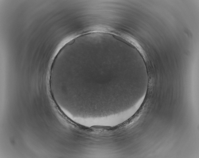 X0000110701146200907241119