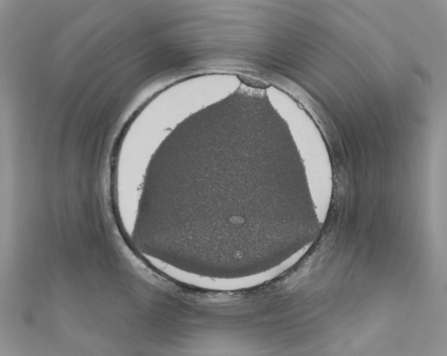 X0000110701147200907241119