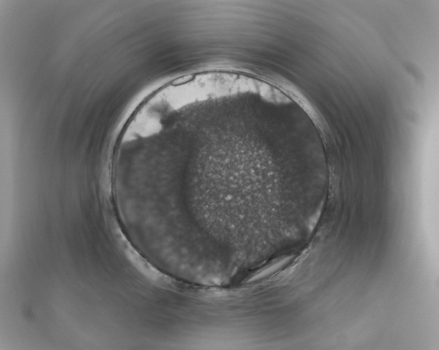 X0000110701148200907241119
